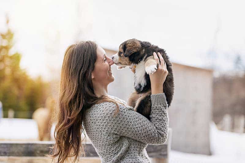 A puppy being held up A puppy being held up