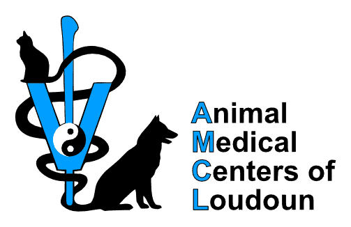 Animal Medical Center of Loudoun - Ashburn Animal Medical Center of Loudoun - Ashburn