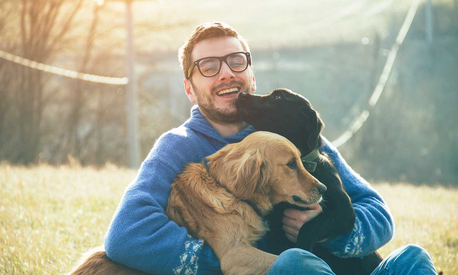 A man with his two dogs