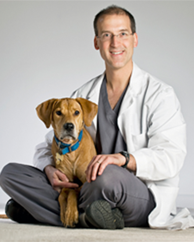 Tibor Lazar, DVM, Diplomate ACVS, Guest Board Certified Surgeon Tibor Lazar, DVM, Diplomate ACVS, Guest Board Certified Surgeon